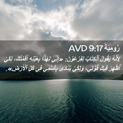 Picture 02 - رُومِيَةَ 9:17 AVD - لِأَنَّهُ يَقُولُ - Bible Verse Picture