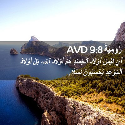Picture 02 - رُومِيَةَ 9:8 AVD - أَيْ لَيْسَ أَوْلَادُ - Bible Verse Picture