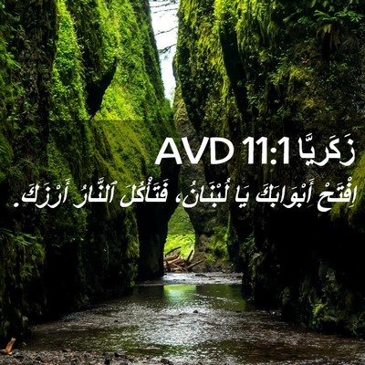 Picture 02 - زَكَريَّا 11:1 AVD - اِفْتَحْ أَبْوَابَكَ يَا - Bible Verse Picture