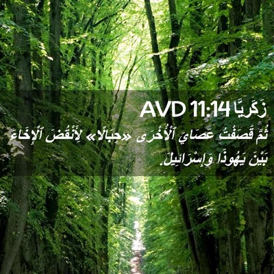 Picture 02 - زَكَريَّا 11:14 AVD - ثُمَّ قَصَفْتُ عَصَايَ - Bible Verse Picture