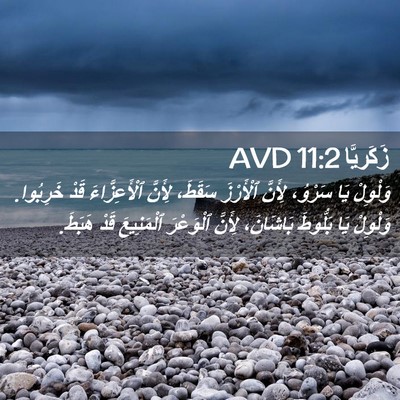 Picture 02 - زَكَريَّا 11:2 AVD - وَلْوِلْ يَا سَرْوُ، - Bible Verse Picture