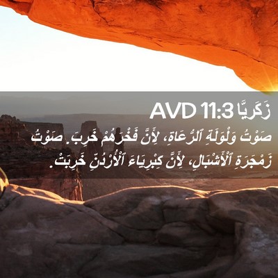 Picture 02 - زَكَريَّا 11:3 AVD - صَوْتُ وَلْوَلَةِ - Bible Verse Picture
