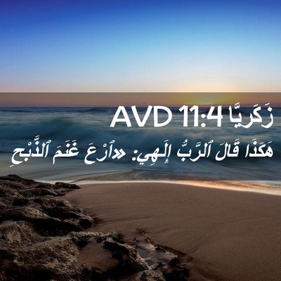 Picture 02 - زَكَريَّا 11:4 AVD - هَكَذَا قَالَ ٱلرَّبُّ - Bible Verse Picture