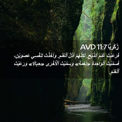 Picture 02 - زَكَريَّا 11:7 AVD - فَرَعَيْتُ غَنَمَ - Bible Verse Picture
