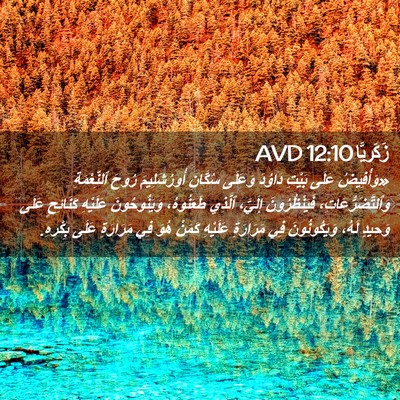 Picture 02 - زَكَريَّا 12:10 AVD - «وَأُفِيضُ عَلَى بَيْتِ - Bible Verse Picture