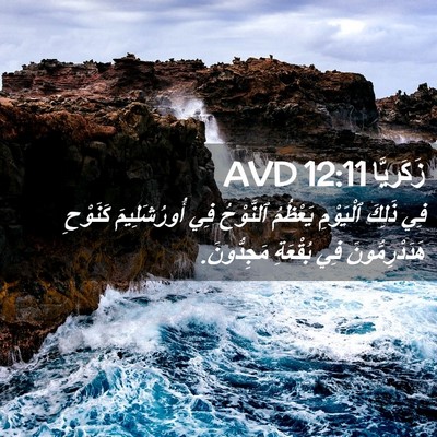 Picture 02 - زَكَريَّا 12:11 AVD - فِي ذَلِكَ ٱلْيَوْمِ - Bible Verse Picture