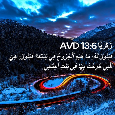 Picture 02 - زَكَريَّا 13:6 AVD - فَيَقُولُ لَهُ: مَا هَذِهِ - Bible Verse Picture
