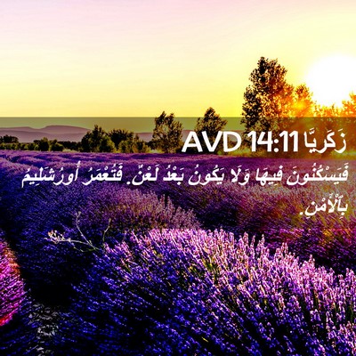 Picture 02 - زَكَريَّا 14:11 AVD - فَيَسْكُنُونَ فِيهَا - Bible Verse Picture