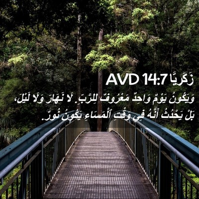 Picture 02 - زَكَريَّا 14:7 AVD - وَيَكُونُ يَوْمٌ وَاحِدٌ - Bible Verse Picture
