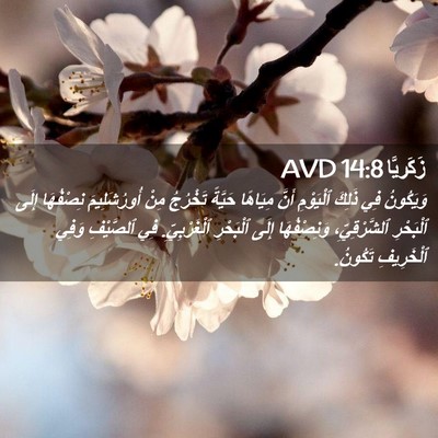 Picture 02 - زَكَريَّا 14:8 AVD - وَيَكُونُ فِي ذَلِكَ - Bible Verse Picture