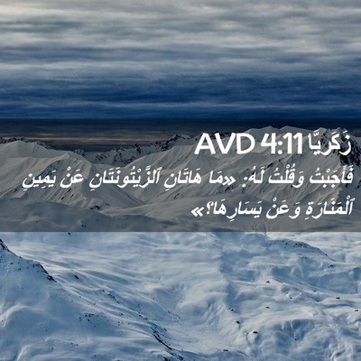Picture 02 - زَكَريَّا 4:11 AVD - فَأَجَبْتُ وَقُلْتُ لَهُ: - Bible Verse Picture