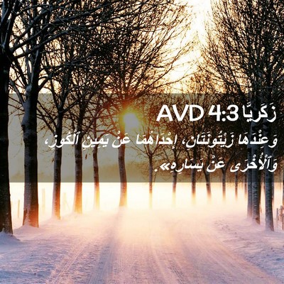 Picture 02 - زَكَريَّا 4:3 AVD - وَعِنْدَهَا - Bible Verse Picture