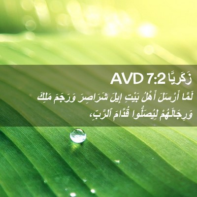 Picture 02 - زَكَريَّا 7:2 AVD - لَمَّا أَرْسَلَ أَهْلُ - Bible Verse Picture