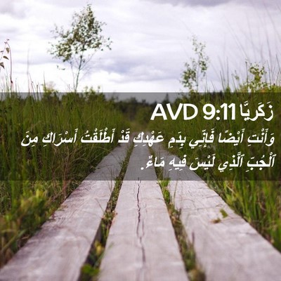 Picture 02 - زَكَريَّا 9:11 AVD - وَأَنْتِ أَيْضًا فَإِنِّي - Bible Verse Picture