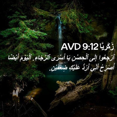 Picture 02 - زَكَريَّا 9:12 AVD - ٱرْجِعُوا إِلَى ٱلْحِصْنِ - Bible Verse Picture