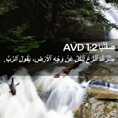 Picture 02 - صَفَنْيَا 1:2 AVD - «نَزْعًا أَنْزَعُ - Bible Verse Picture