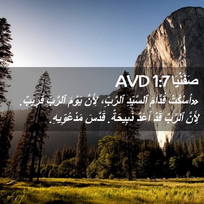 Picture 02 - صَفَنْيَا 1:7 AVD - «اُسْكُتْ قُدَّامَ - Bible Verse Picture