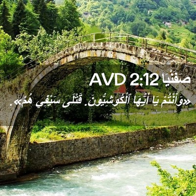 Picture 02 - صَفَنْيَا 2:12 AVD - «وَأَنْتُمْ يَا أَيُّهَا - Bible Verse Picture
