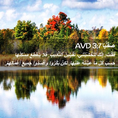 Picture 02 - صَفَنْيَا 3:7 AVD - فَقُلْتُ: إِنَّكِ - Bible Verse Picture