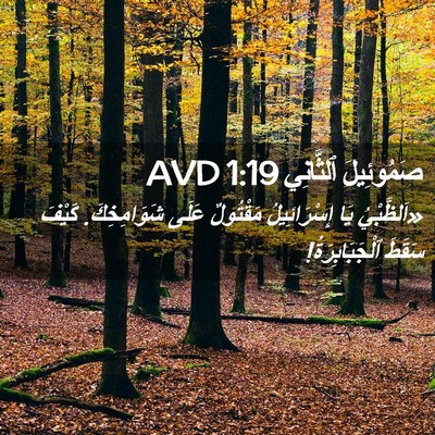 Picture 02 - صَمُوئِيلَ ٱلثَّانِي 1:19 AVD - «اَلظَّبْيُ يَا - Bible Verse Picture