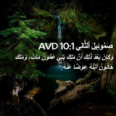 Picture 02 - صَمُوئِيلَ ٱلثَّانِي 10:1 AVD - وَكَانَ بَعْدَ ذَلِكَ - Bible Verse Picture