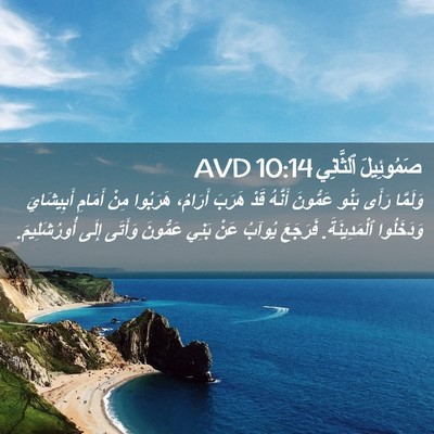 Picture 02 - صَمُوئِيلَ ٱلثَّانِي 10:14 AVD - وَلَمَّا رَأَى بَنُو - Bible Verse Picture