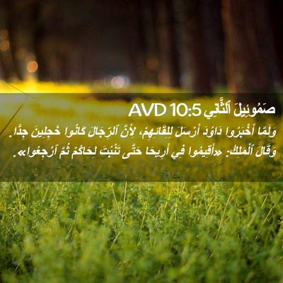 Picture 02 - صَمُوئِيلَ ٱلثَّانِي 10:5 AVD - وَلَمَّا أَخْبَرُوا - Bible Verse Picture
