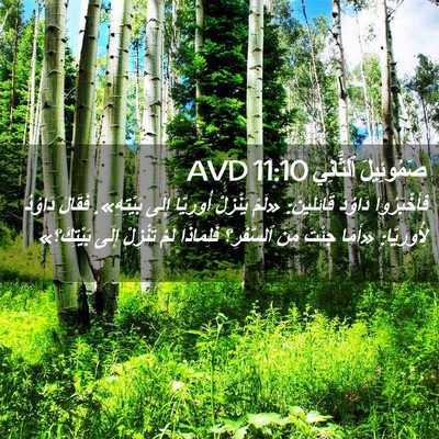 Picture 02 - صَمُوئِيلَ ٱلثَّانِي 11:10 AVD - فأَخْبَرُوا دَاوُدَ - Bible Verse Picture