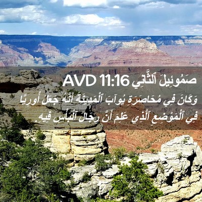 Picture 02 - صَمُوئِيلَ ٱلثَّانِي 11:16 AVD - وَكَانَ فِي مُحَاصَرَةِ - Bible Verse Picture