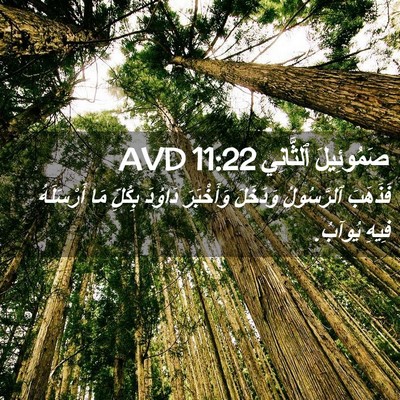Picture 02 - صَمُوئِيلَ ٱلثَّانِي 11:22 AVD - فَذَهَبَ ٱلرَّسُولُ - Bible Verse Picture