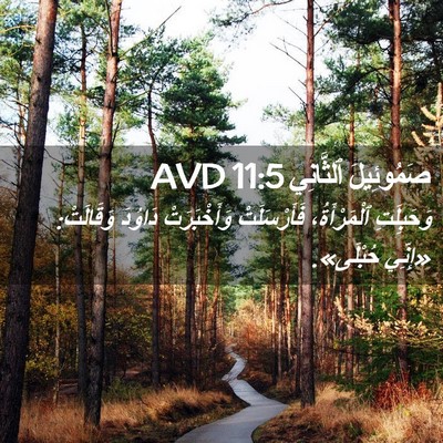 Picture 02 - صَمُوئِيلَ ٱلثَّانِي 11:5 AVD - وَحَبِلَتِ ٱلْمَرْأَةُ، - Bible Verse Picture