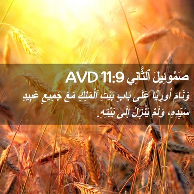 Picture 02 - صَمُوئِيلَ ٱلثَّانِي 11:9 AVD - وَنَامَ أُورِيَّا عَلَى - Bible Verse Picture