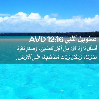 Picture 02 - صَمُوئِيلَ ٱلثَّانِي 12:16 AVD - فَسَأَلَ دَاوُدُ ٱللهَ - Bible Verse Picture