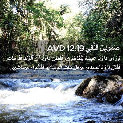 Picture 02 - صَمُوئِيلَ ٱلثَّانِي 12:19 AVD - وَرَأَى دَاوُدُ عَبِيدَهُ - Bible Verse Picture
