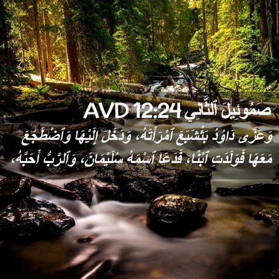 Picture 02 - صَمُوئِيلَ ٱلثَّانِي 12:24 AVD - وَعَزَّى دَاوُدُ - Bible Verse Picture