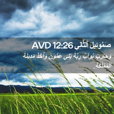 Picture 02 - صَمُوئِيلَ ٱلثَّانِي 12:26 AVD - وَحَارَبَ يُوآبُ رِبَّةَ - Bible Verse Picture