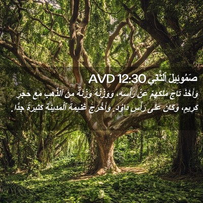 Picture 02 - صَمُوئِيلَ ٱلثَّانِي 12:30 AVD - وَأَخَذَ تَاجَ مَلِكِهِمْ - Bible Verse Picture