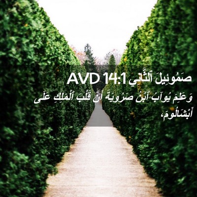 Picture 02 - صَمُوئِيلَ ٱلثَّانِي 14:1 AVD - وَعَلِمَ يُوآبُ ٱبْنُ - Bible Verse Picture