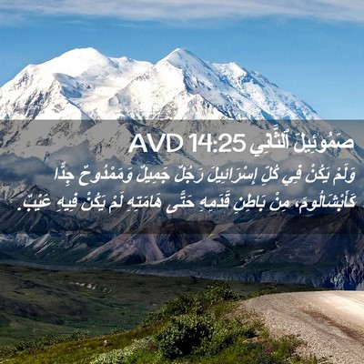 Picture 02 - صَمُوئِيلَ ٱلثَّانِي 14:25 AVD - وَلَمْ يَكُنْ فِي كُلِّ - Bible Verse Picture