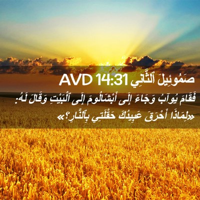 Picture 02 - صَمُوئِيلَ ٱلثَّانِي 14:31 AVD - فَقَامَ يُوآبُ وَجَاءَ - Bible Verse Picture