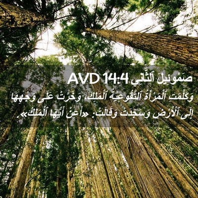 Picture 02 - صَمُوئِيلَ ٱلثَّانِي 14:4 AVD - وَكَلَّمَتِ ٱلْمَرْأَةُ - Bible Verse Picture