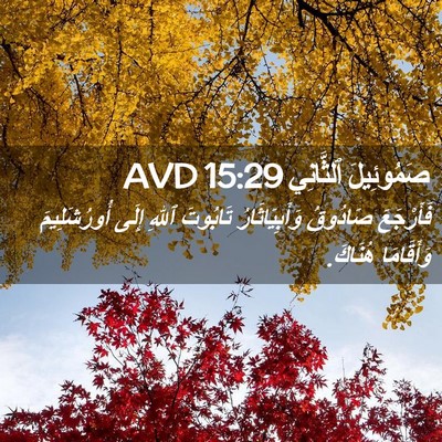 Picture 02 - صَمُوئِيلَ ٱلثَّانِي 15:29 AVD - فَأَرْجَعَ صَادُوقُ - Bible Verse Picture