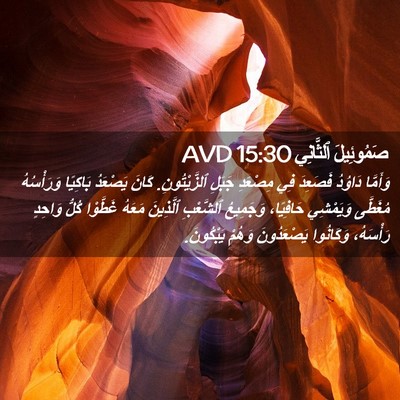 Picture 02 - صَمُوئِيلَ ٱلثَّانِي 15:30 AVD - وَأَمَّا دَاوُدُ فَصَعِدَ - Bible Verse Picture