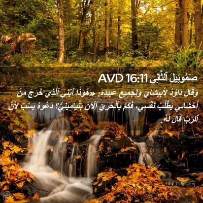 Picture 02 - صَمُوئِيلَ ٱلثَّانِي 16:11 AVD - وَقَالَ دَاوُدُ - Bible Verse Picture