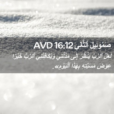 Picture 02 - صَمُوئِيلَ ٱلثَّانِي 16:12 AVD - لَعَلَّ ٱلرَّبَّ يَنْظُرُ - Bible Verse Picture