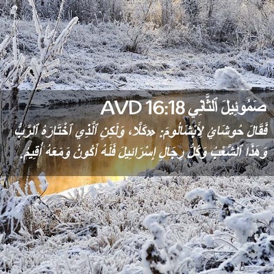 Picture 02 - صَمُوئِيلَ ٱلثَّانِي 16:18 AVD - فَقَالَ حُوشَايُ - Bible Verse Picture