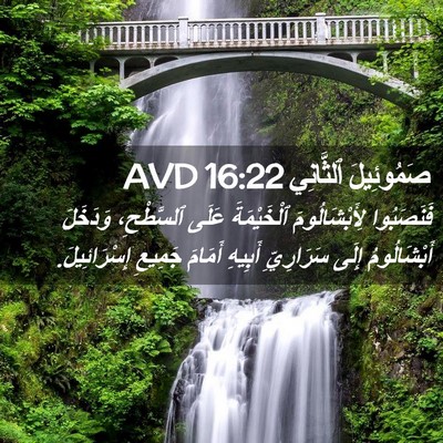Picture 02 - صَمُوئِيلَ ٱلثَّانِي 16:22 AVD - فَنَصَبُوا لِأَبْشَالُومَ - Bible Verse Picture