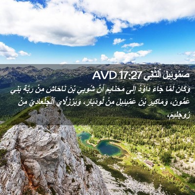 Picture 02 - صَمُوئِيلَ ٱلثَّانِي 17:27 AVD - وَكَانَ لَمَّا جَاءَ - Bible Verse Picture