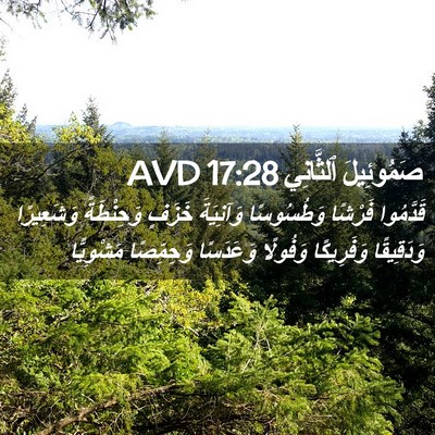 Picture 02 - صَمُوئِيلَ ٱلثَّانِي 17:28 AVD - قَدَّمُوا فَرْشًا - Bible Verse Picture