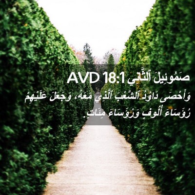 Picture 02 - صَمُوئِيلَ ٱلثَّانِي 18:1 AVD - وَأَحْصَى دَاوُدُ - Bible Verse Picture